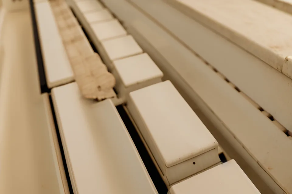 Nahaufnahme der 34 Diskanttasten eines Hohner Concerto II Akkordeons von 1964