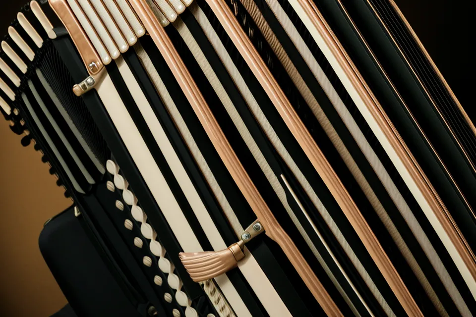 Nahaufnahme der 72 Bassknöpfe einer Hohner Concerto II im Stradella-Bass-System beim Akkordeon lernen als Erwachsener